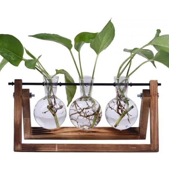 Other Desktop Glass Planter Bulb Vase Poshmark